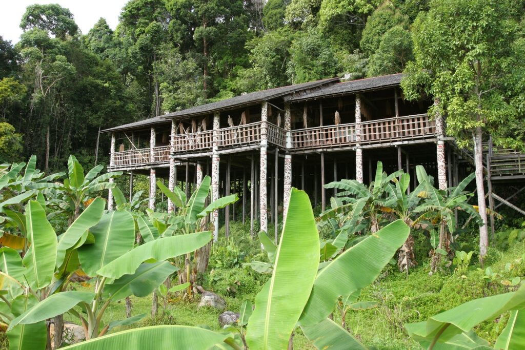borneou longhouse